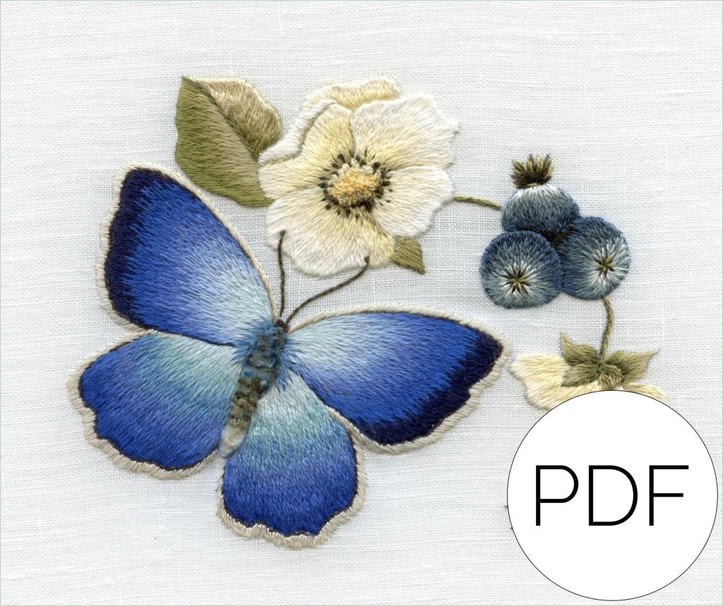 Pdf Adonis Blue Butterfly