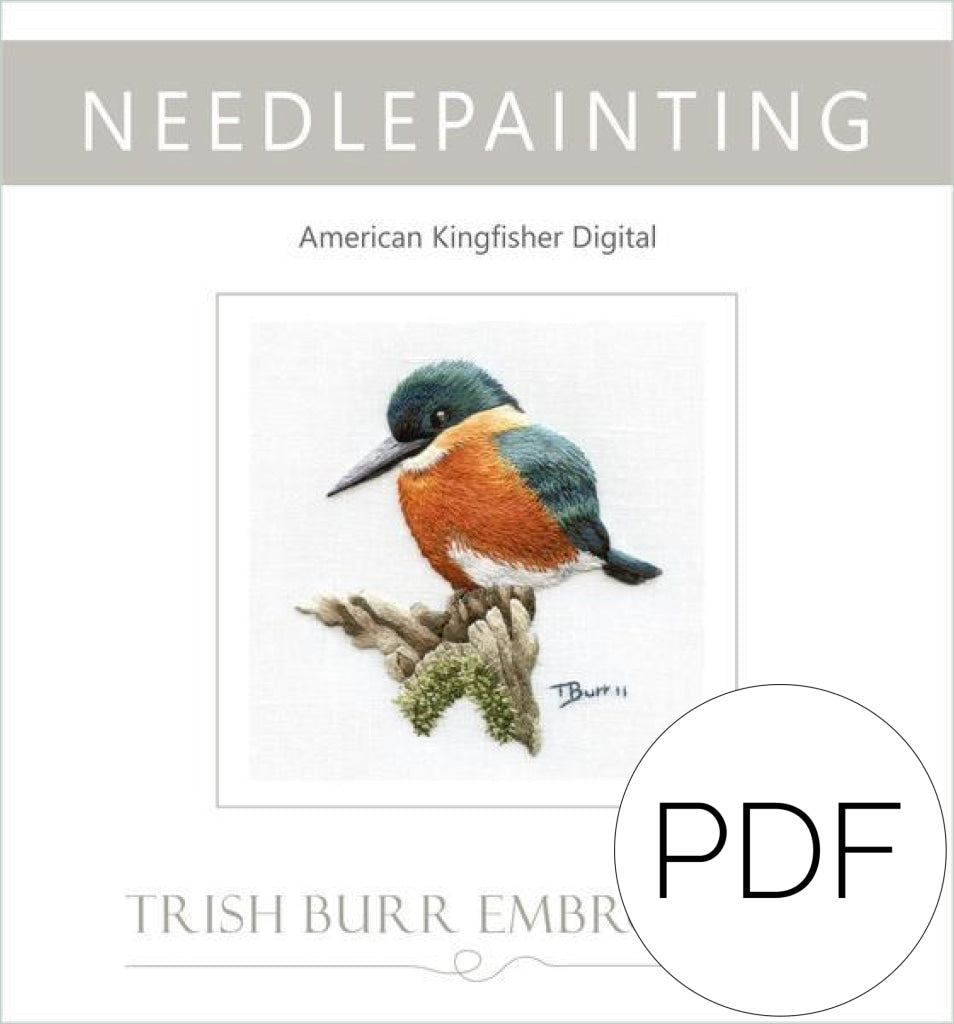Pdf American Kingfisher
