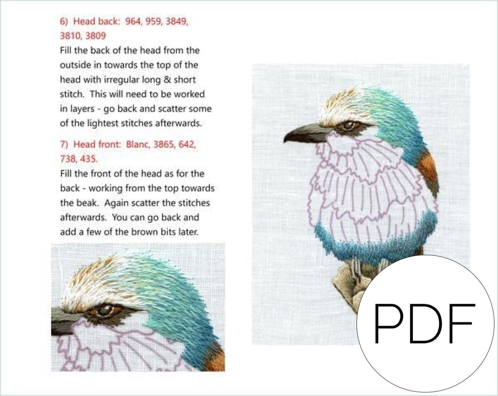 Pdf Little Lilac Breasted Bird