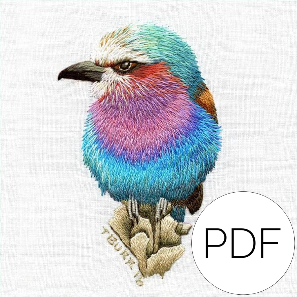 Pdf Little Lilac Breasted Bird