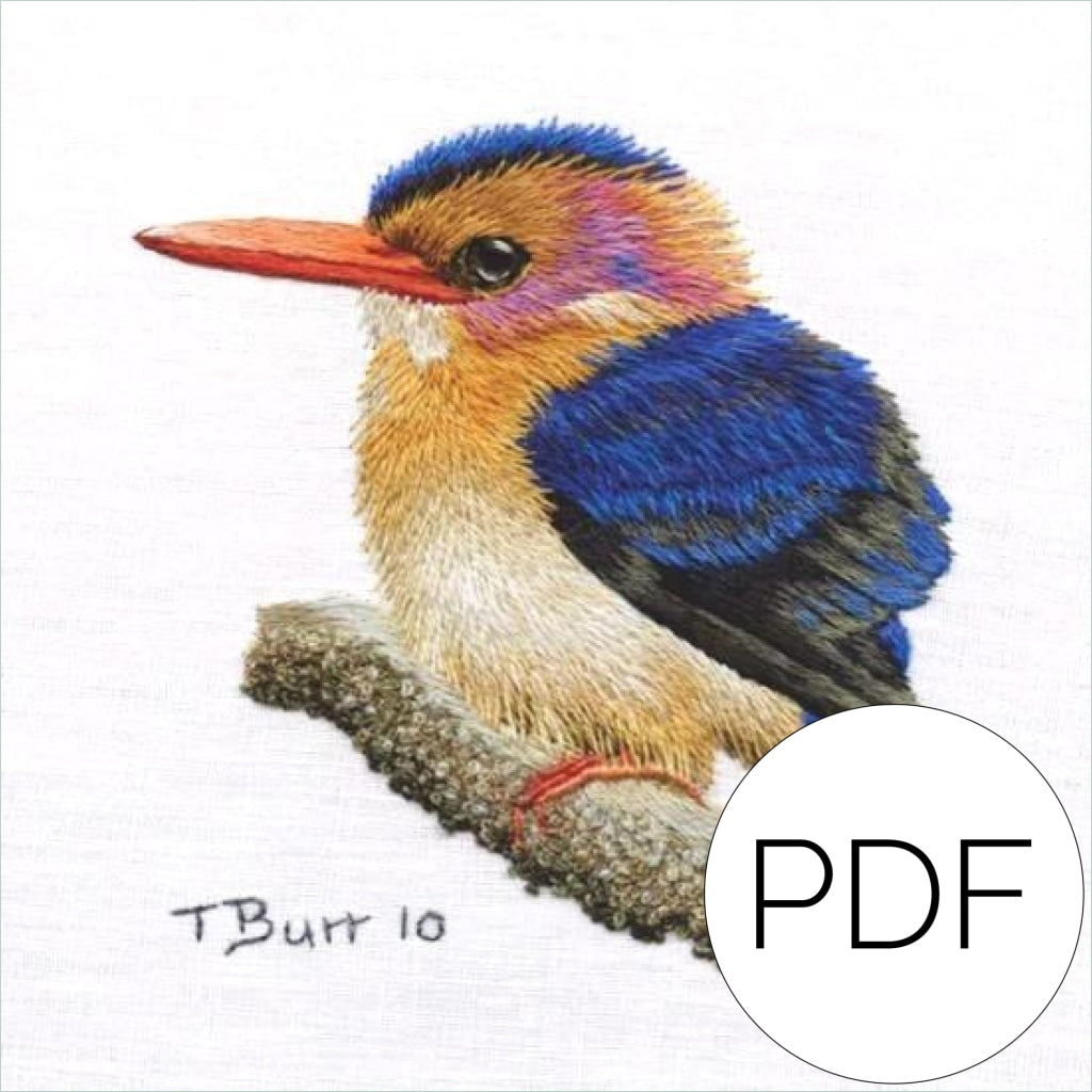 Pdf Little Pygmy Kingfisher