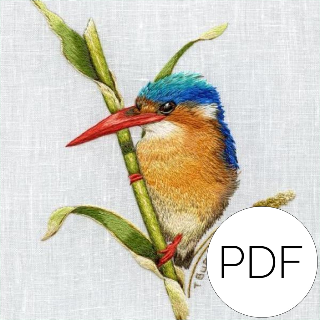 Pdf Malachite Kingfisher Bird