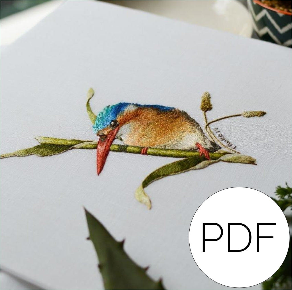 Pdf Malachite Kingfisher Bird