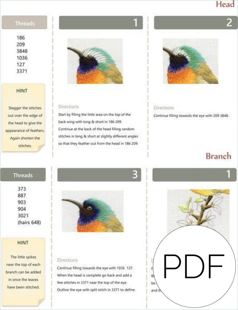 Pdf Orange Sunbird