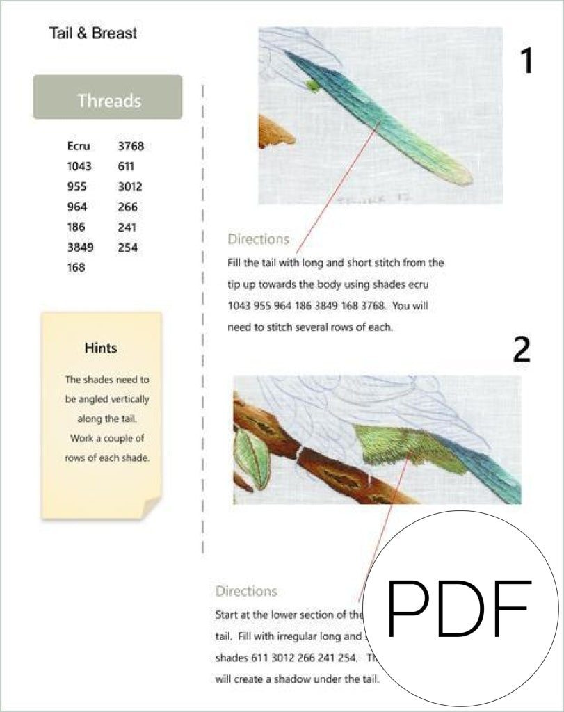 Pdf Red Rumped Parrot
